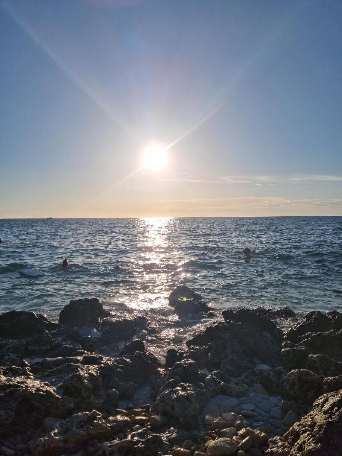 Pulabella Apartman Kültér fotó