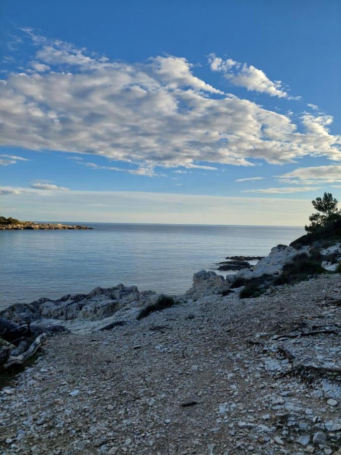 Pulabella Apartman Kültér fotó